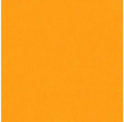 Bazzill - 12"x 12" Fourz 80# Cardstock (Multiple Colors Available)