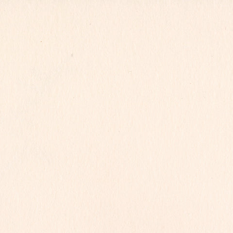 Bazzill - 12"x 12" Card Shoppe Heavyweight 100# Cardstock (Multiple Colors Available)