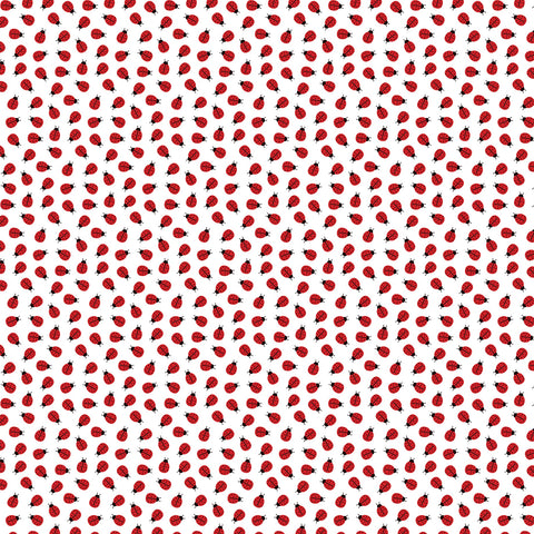 Echo Park 12"x 12" Little Ladybug (Little Ladybug Collection) Double-Sided Cardstock