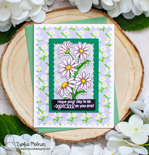 Newton's Nook - Dainty Daisies Die
