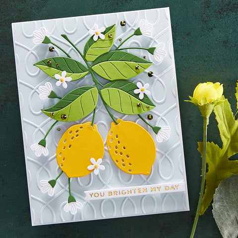 Spellbinders - Loops Embossing Folder (Be Bold Collection)
