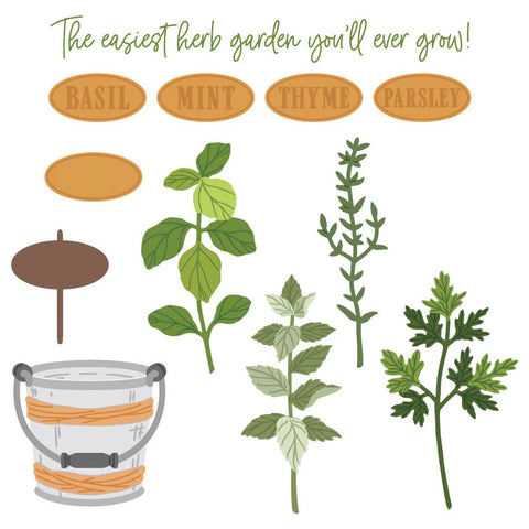 Honey Bee - Lovely Layers - Herb Garden Dies