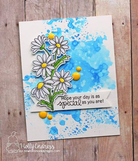 Newton's Nook - Dainty Daisies Die