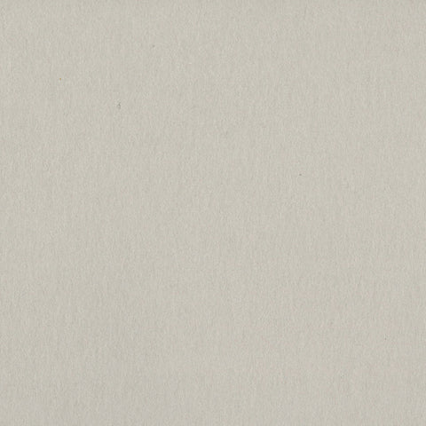 Bazzill - 12"x 12" Card Shoppe Heavyweight 100# Cardstock (Multiple Colors Available)