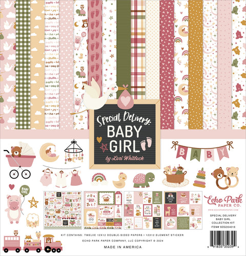 Echo Park - 12"x 12" Special Delivery Baby Girl Paper Pack