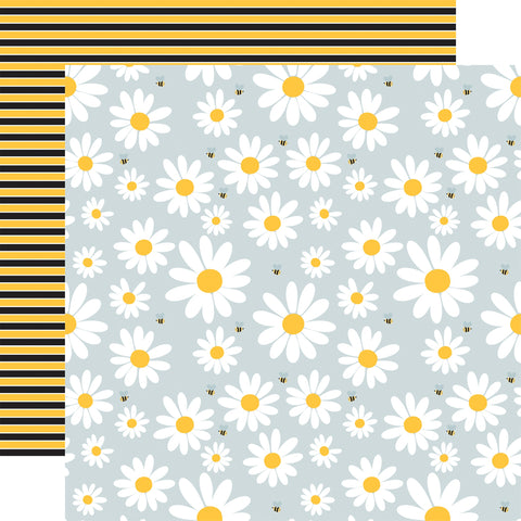 Echo Park 12"x 12" Lovely Bee Daisies (Happy As Can Bee Collection) Double-Sided Cardstock