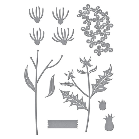 Spellbinders - Wildflowers (Field Notes Collection) Dies
