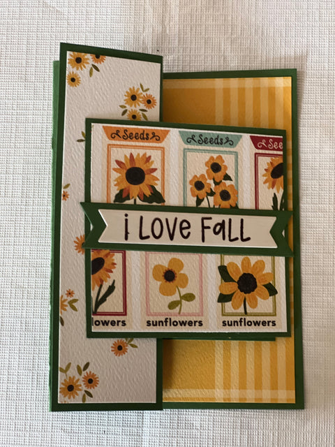 Pat's "Fanci-"fall" Folds Card Class - Wednesday, November 6, 2024 from 11am-1pm