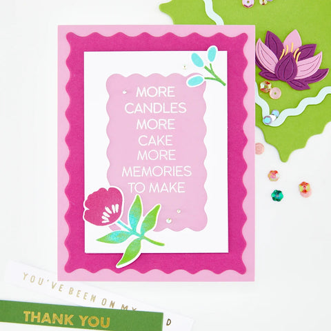 Hero Arts - Birthdays Inside & Out Stamp & Die Combo