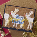 Spellbinders - Stars & Fronds Frame 3D Embossing Folder (Starry Holiday Collection)