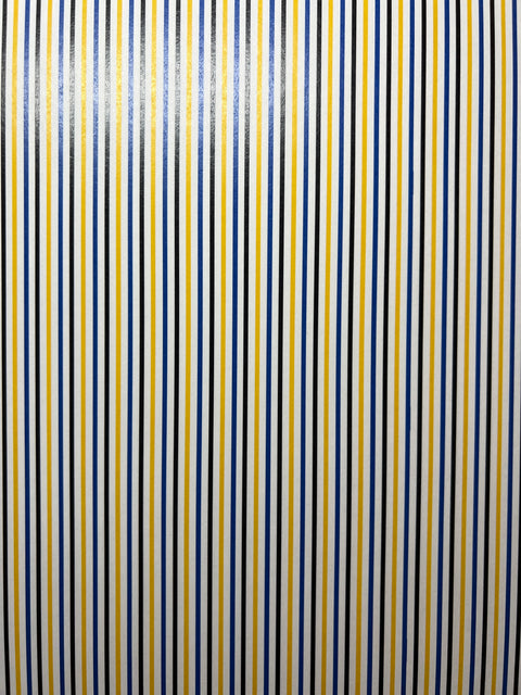 12"x 12" Custom Thin Stripes Paper #25496