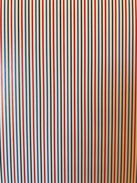 12"x 12" Custom Thin Stripes Paper #25496