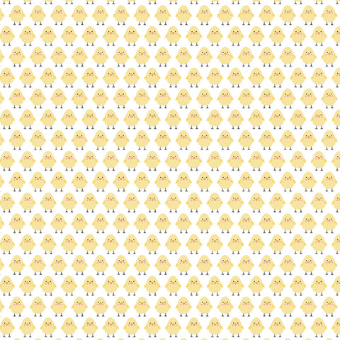 Echo Park - 12'x 12" Little Baby Chicks (Easter Basket) Double-Sided Paper
