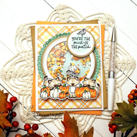 Newton's Nook - Pumpkin Tails Dies