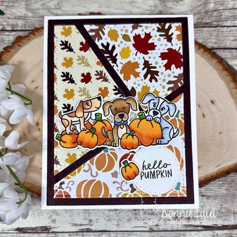 Newton's Nook - Pumpkin Tails Dies