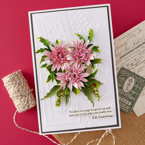 Spellbinders - Ode to a Poet 3D Embossing Folder by Susan Tierney-Cockburn