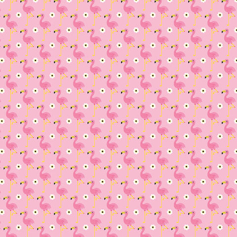 Bella Blvd - 12"x 12" Fancy Feathers (Zoo Day) Double-Sided Paper