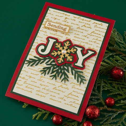 Spellbinders - Snowflake Joy Stamp & Die by Lisa Horton