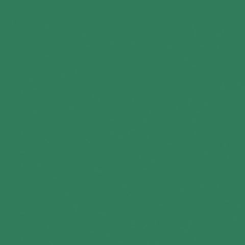 Bazzill - 12"x 12" Card Shoppe Heavyweight 100# Cardstock (Multiple Colors Available)